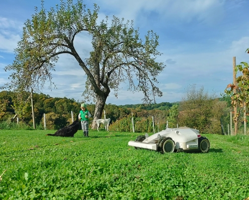 Maja-Antonia-Knezić-(3)
